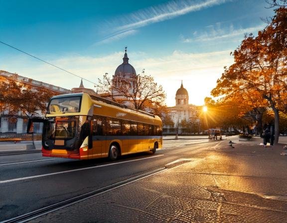 Tours and excursions